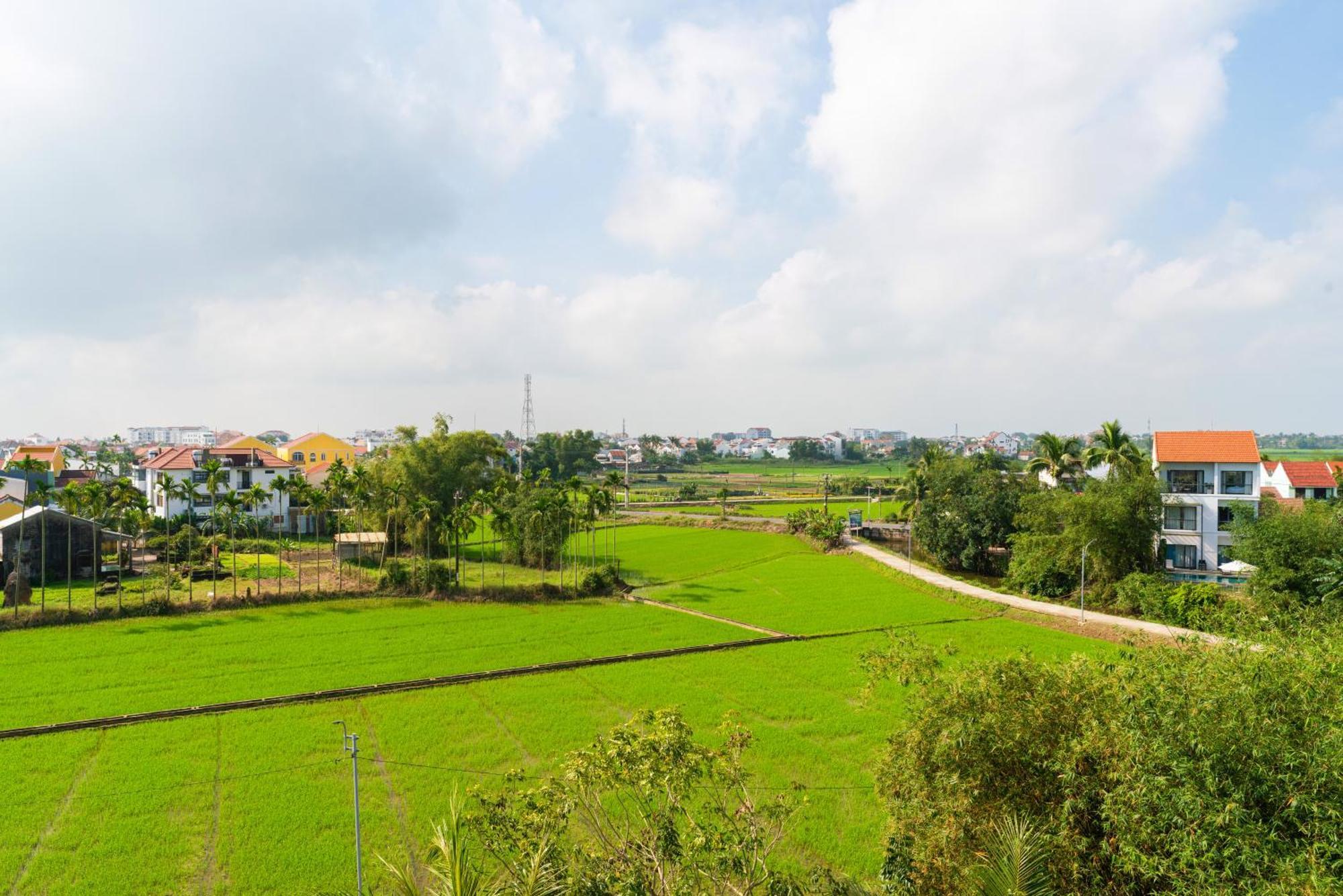 Hoi An Pinus Boutique Hotel Tan Thanh Exterior foto